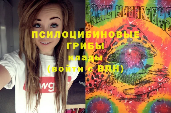 дживик Алзамай
