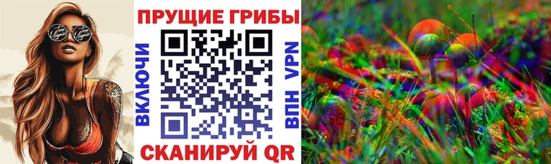 Галлюциногенные грибы Psilocybe ссылка на мегу рабочий сайт Красково где купить наркоту